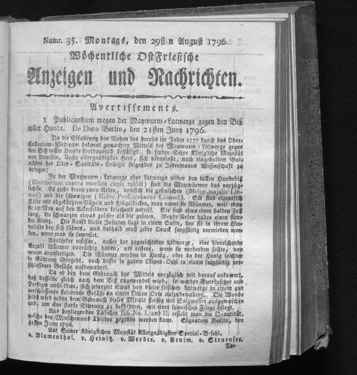 Zur Seitenansicht