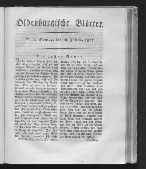 Zur Seitenansicht